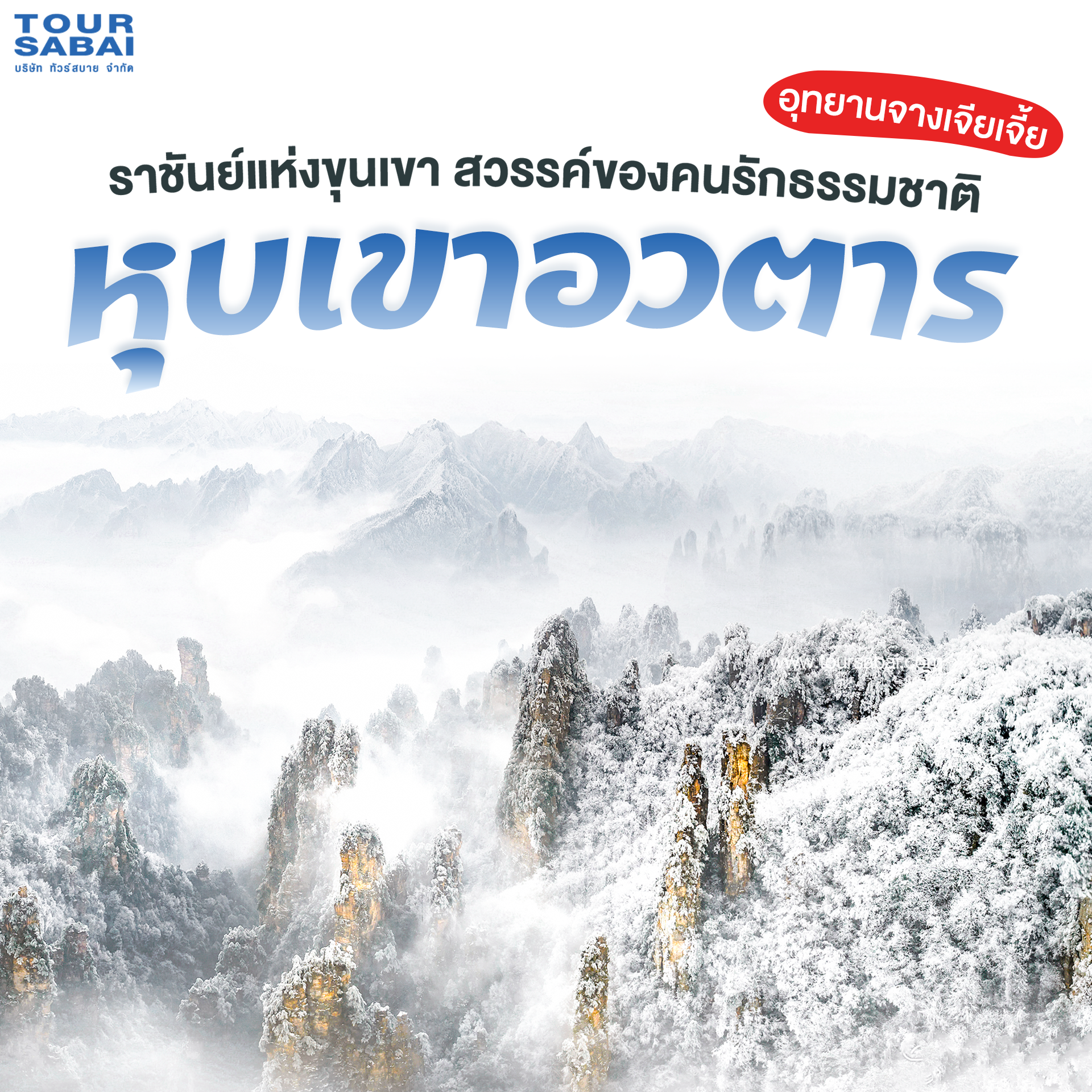 ค้นพบความงามของอุทยานจางเจียเจี้ย ดินแดนแห่งขุนเขาอวตาร พร้อมสัมผัสลิฟท์แก้วไป่หลงและสะพานธรรมชาติสุดมหัศจรรย์