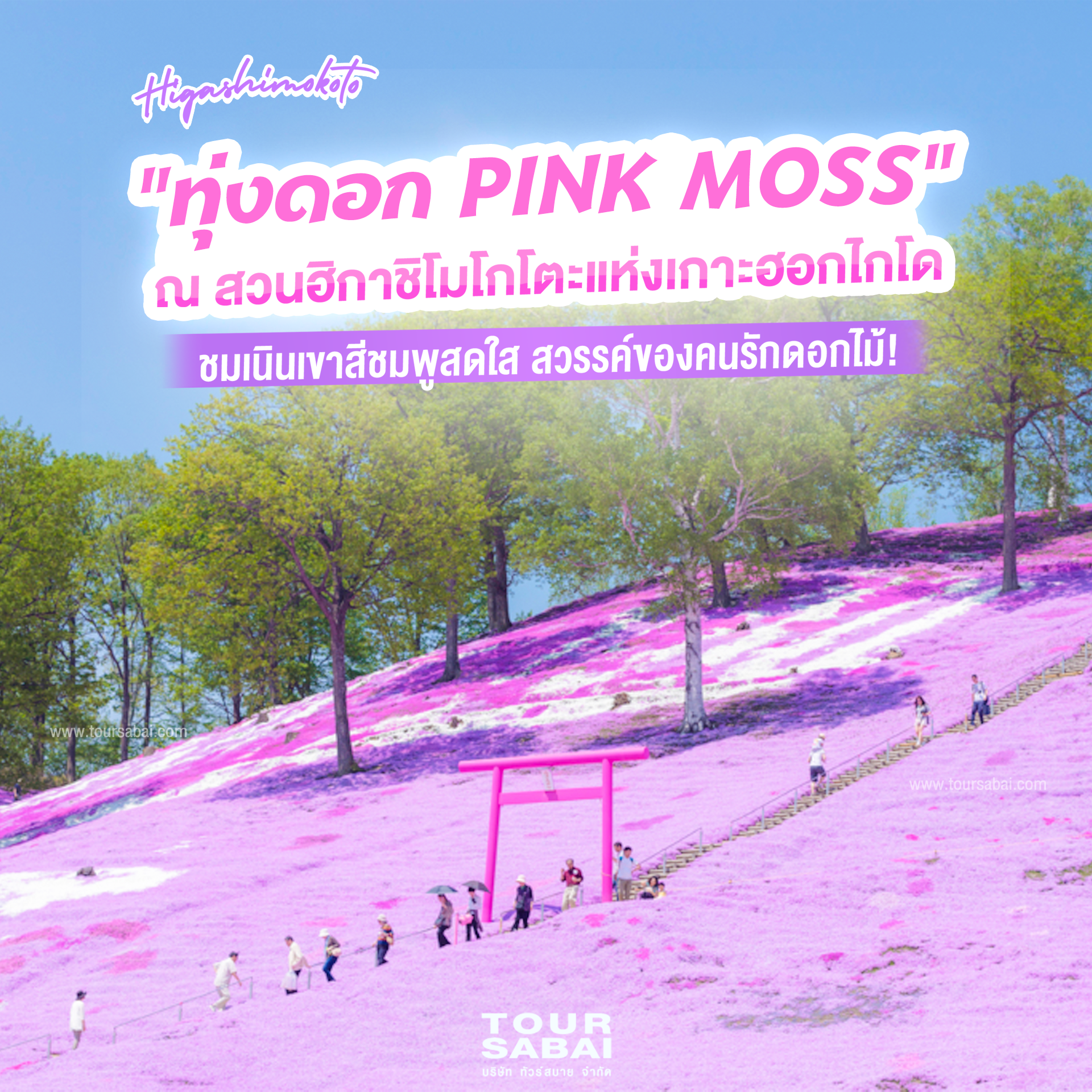 ทุ่งดอก PINK MOSS
